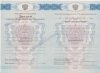 Диплом техникума или колледжа 2011-2013 года  Диплом техникума или колледжа 2011-2013 года